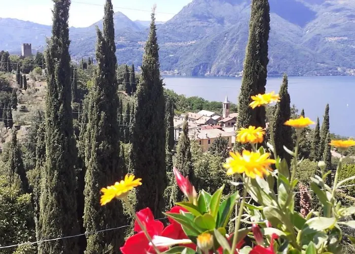 公寓 Vezio Hill House 佩尔莱多